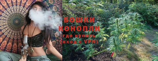 сатива Ростов